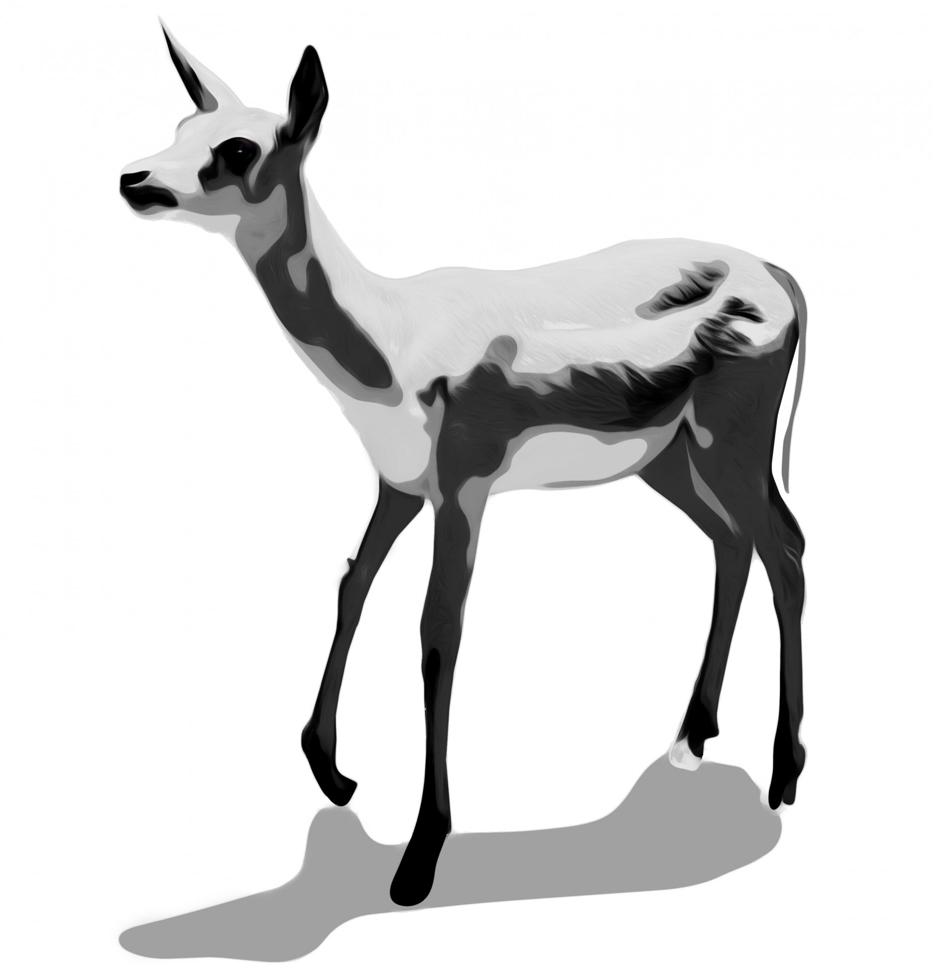 1858x1920 Clip Art Deer Free Stock Photo