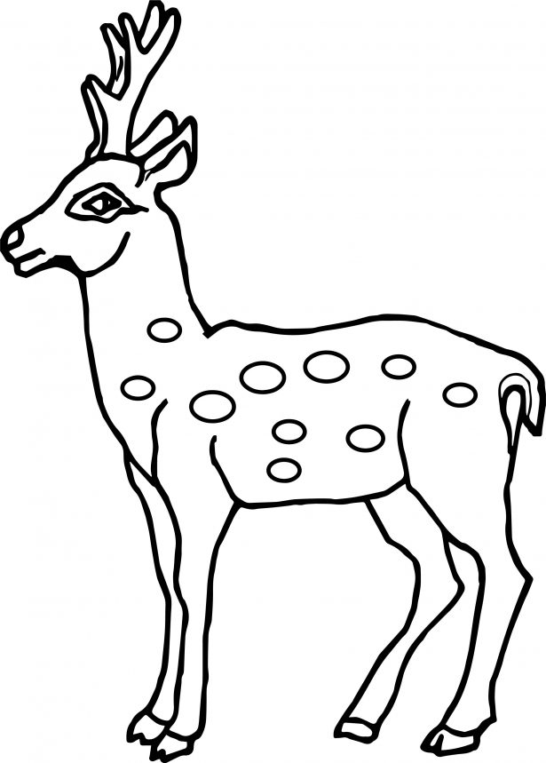 615x859 Coloring Pages Animals Deadpool All Is Ok Coloring Page Deer