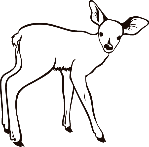 600x592 Deer Coloring Pages 3 Coloring Pages To Print