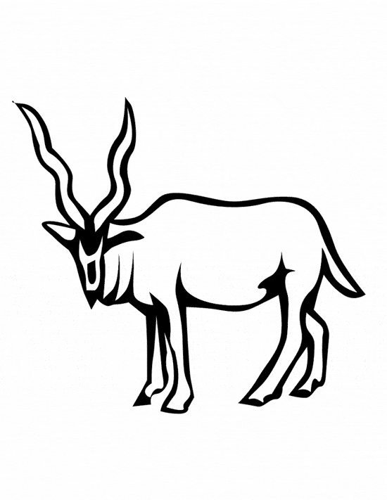 550x711 Deer Coloring Page