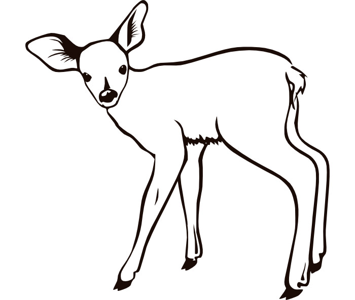 700x592 Top 91 Deer Coloring Pages