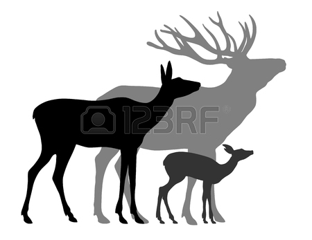 450x347 A Silhouette Of Roe Deer Cub Royalty Free Cliparts, Vectors,