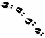158x135 Deer Tracks Clipart