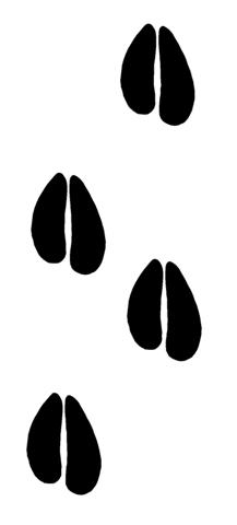 217x480 Deer Tracks Decal Sticker