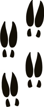 143x347 Deer Tracks Outline Clipart