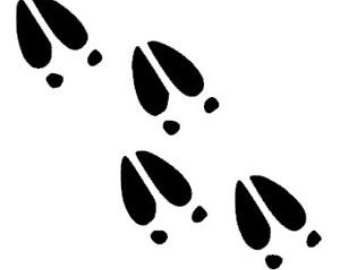 340x270 Footprint Clipart Moose