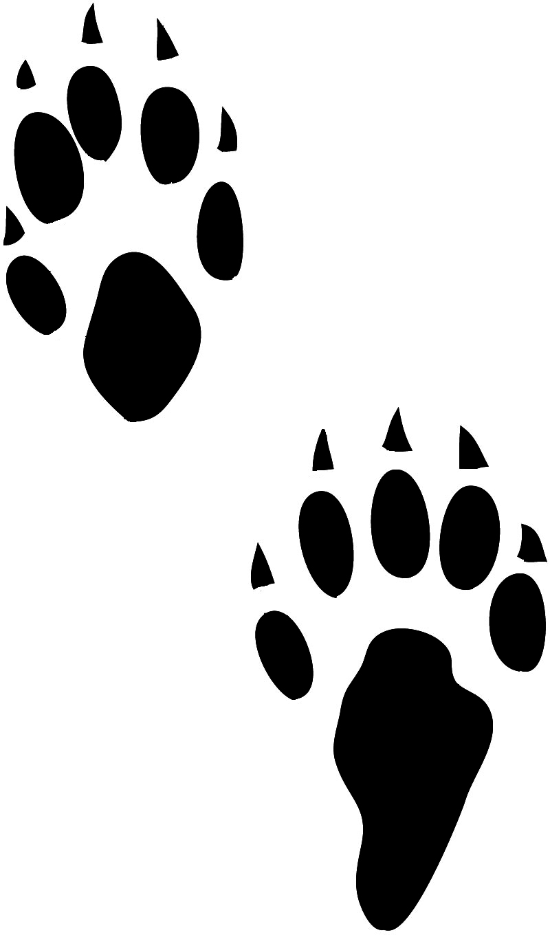 800x1360 Kangaroo Clipart Footprint