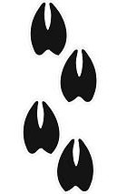 129x213 Rape 20clipart Clipart Panda