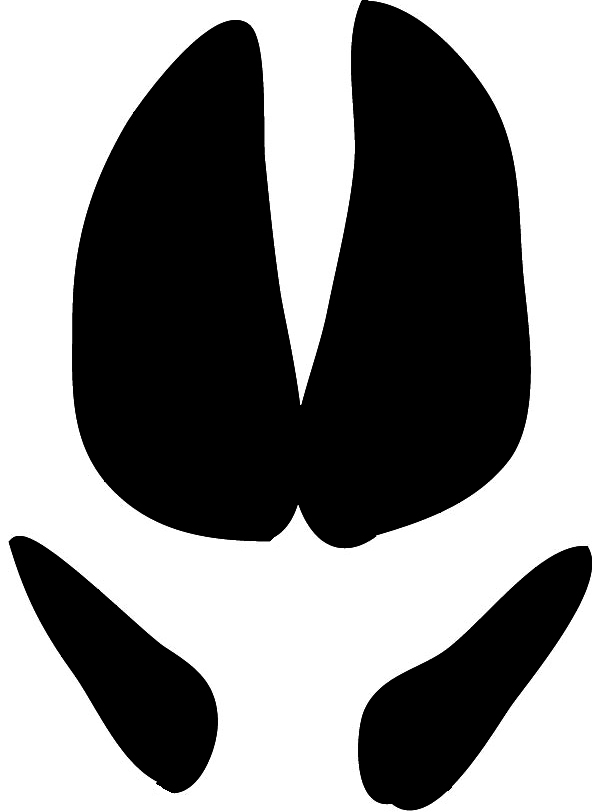 600x812 Rhino Clipart Footprint