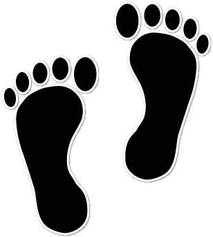 308x342 Turtoise Clipart Footprint
