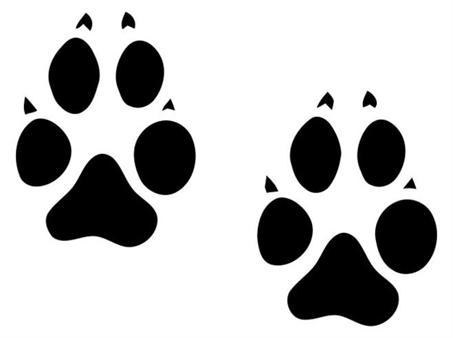 659x492 Animal Track Clipart