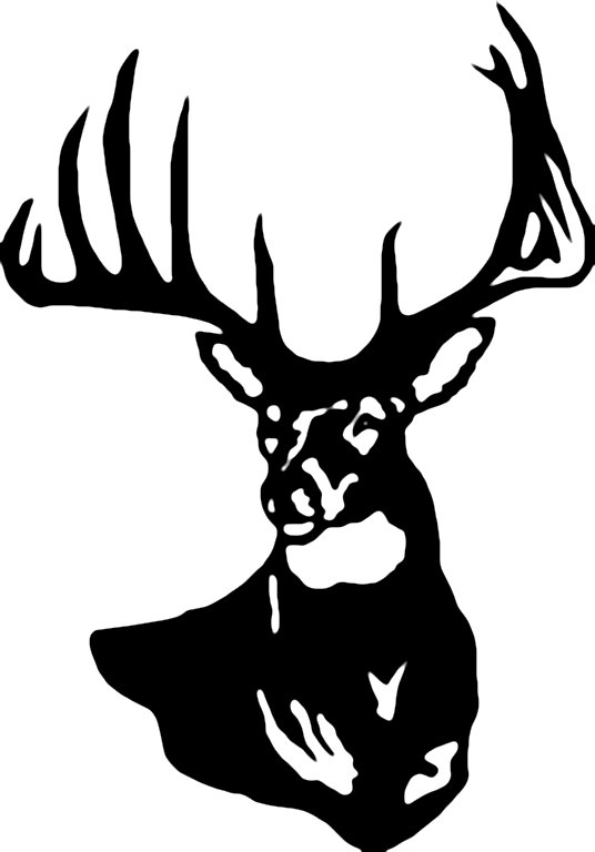 536x768 Graphics For Black And White Whitetail Deer Graphics Www