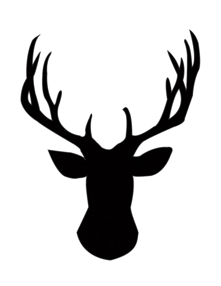 736x952 Graphics For Deer Head Clip Art Graphics