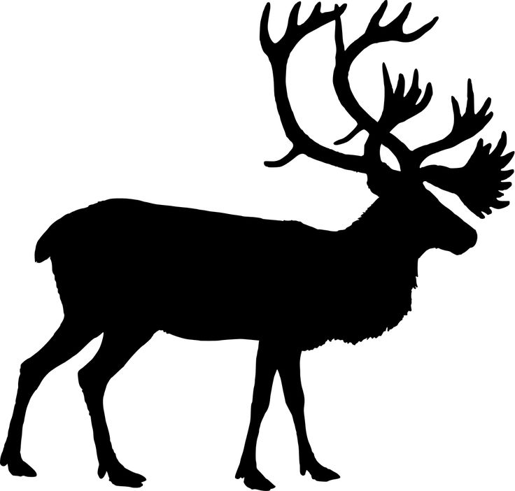 Deer Head Clipart Black And White