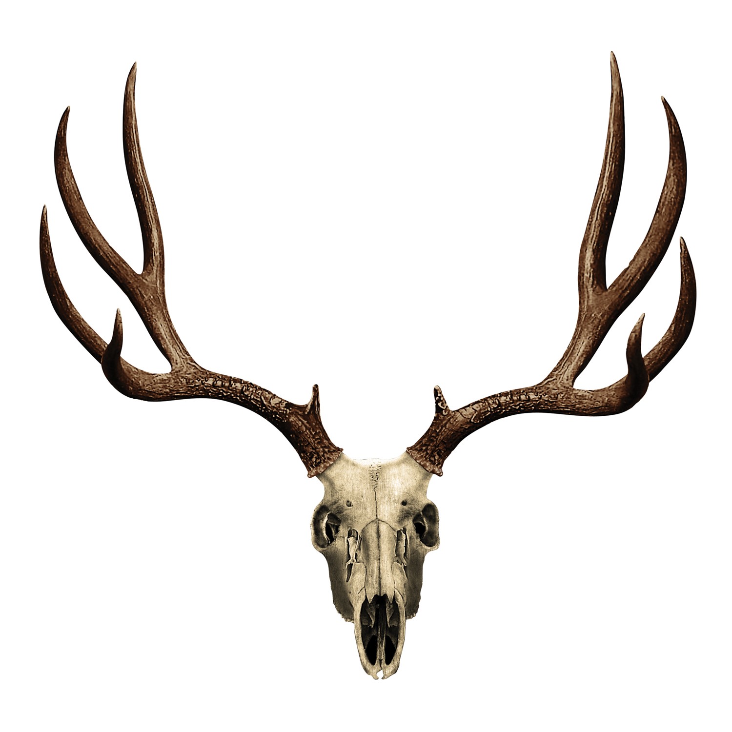1500x1500 Deer Skull Clipart