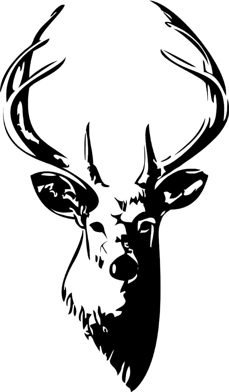 800x1370 White Stag Cliparts 275131
