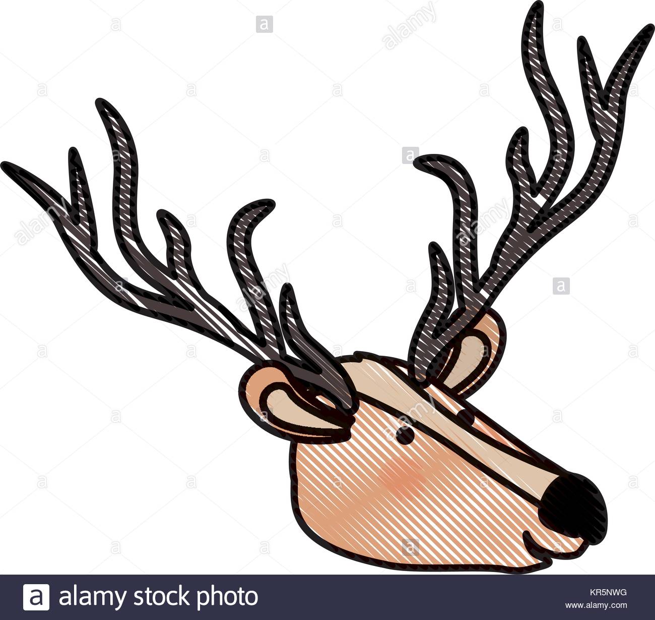 1300x1229 Deer Head Vector Stock Photos Amp Deer Head Vector Stock Images