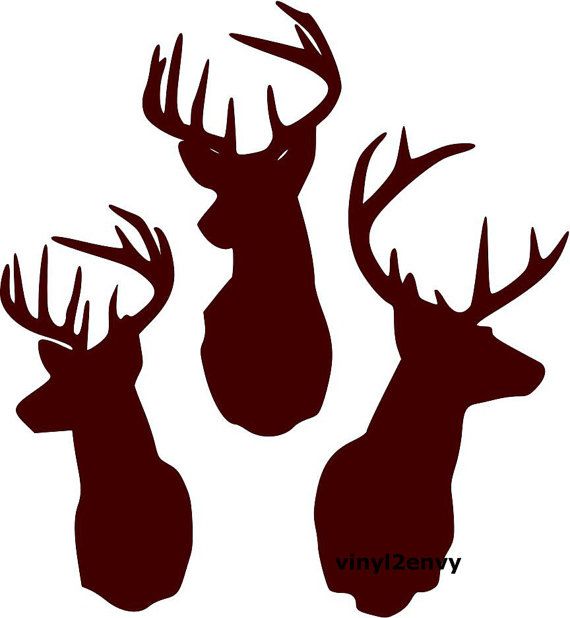570x618 125 Best Animal Silhouette Images Animal Silhouette