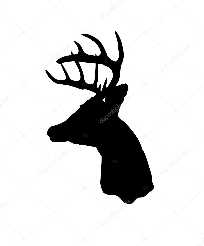 848x1023 Whitetail Deer Silhouette Stock Vector Shabacadesigns