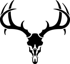 300x274 Best Deer Skull Drawing Ideas Deer Skulls