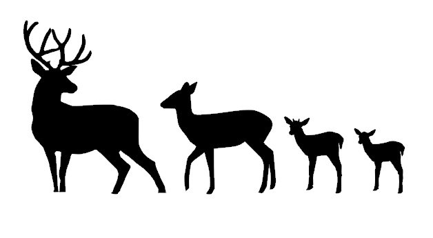 628x345 Deer Family Clipart