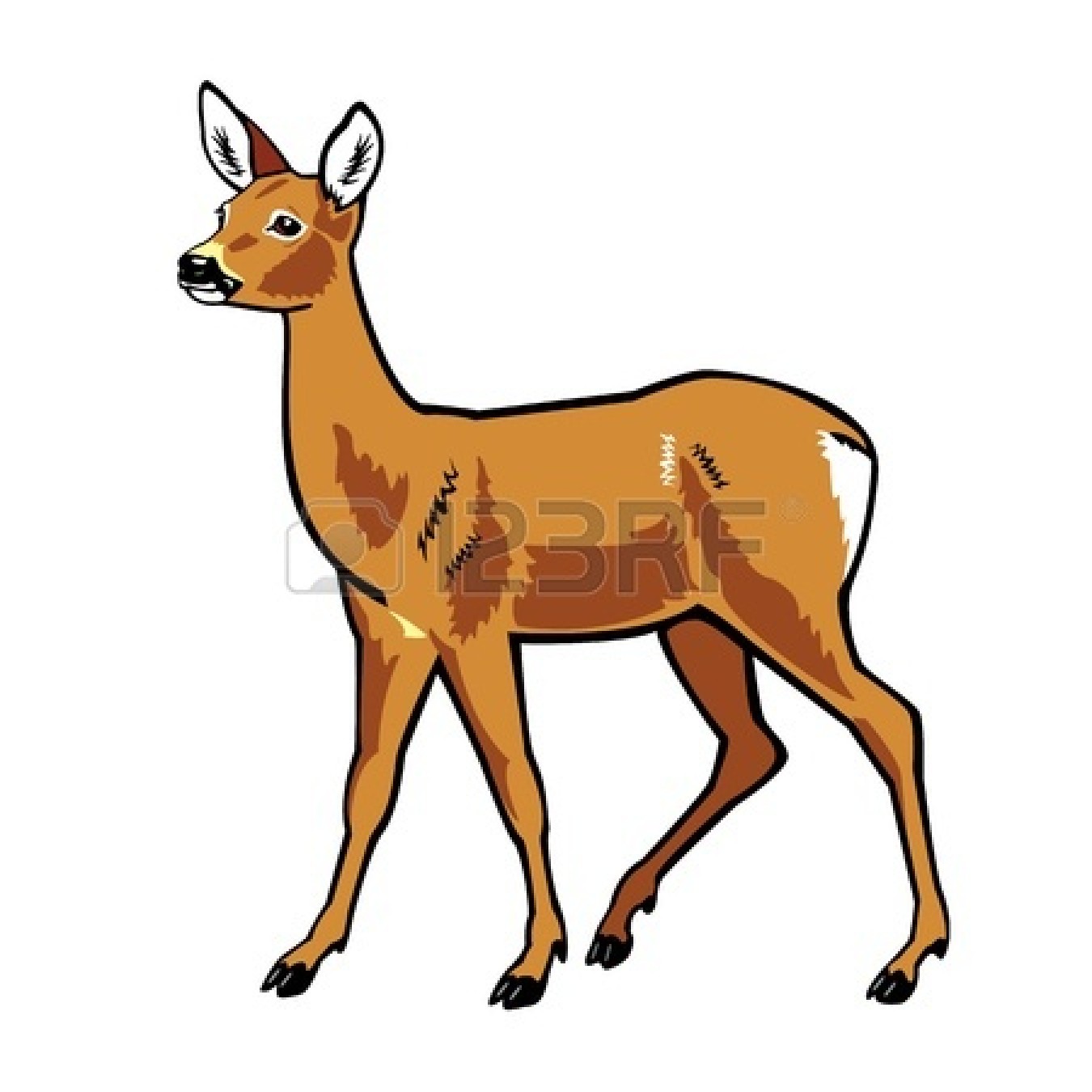 1350x1350 Baby Deer Top Deer Clipart Free Image