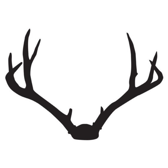 570x570 Dear Clipart Antler
