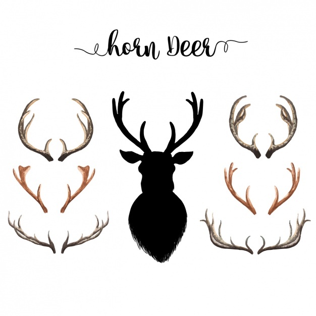 626x626 Antler Clipart Deer Horn
