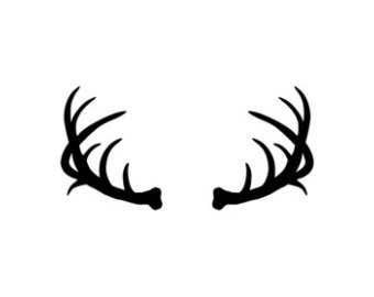 340x270 Deer Clipart Moose Antler