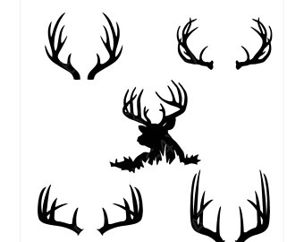 340x270 Deer Horns Etsy