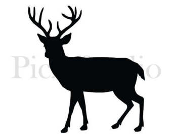 340x270 Deer Svg Etsy