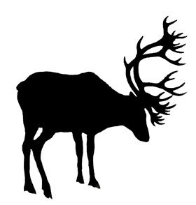 280x294 Top 89 Caribou Clip Art