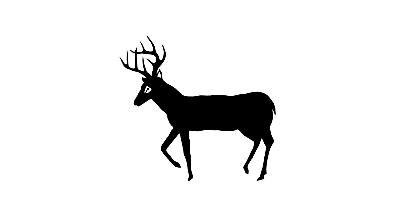1264x694 Willow Deer Clipart