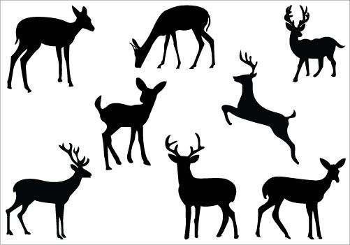 501x351 Buck And Doe Clip Art Deer Silhouette Clip Art Packcategory