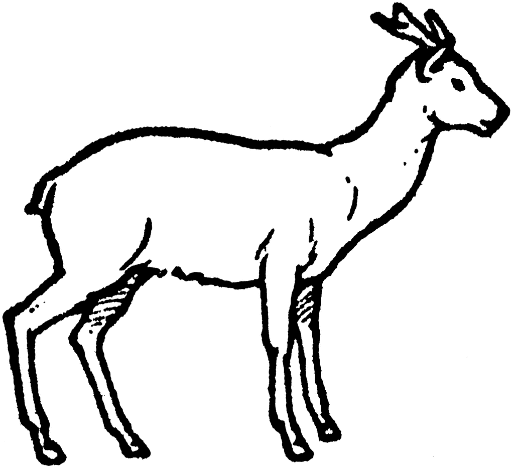 1024x933 Clip Art Deer Clipart Image