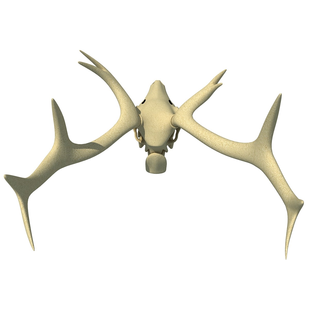 1200x1200 Deer Skull Clipart