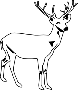 258x297 Deer White Clip Art