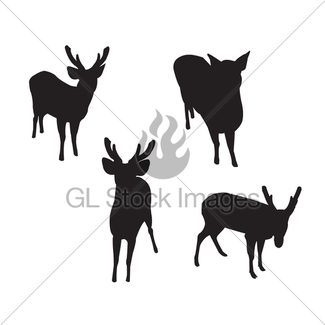 325x325 The Black Silhouette Of A Deer On White Gl Stock Images