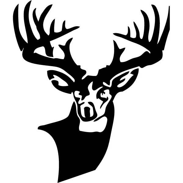 600x600 Deer Buck Drawings Black And White Mossyback Woods Monster