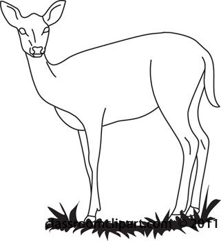 321x350 Deer Clipart Black And White Archives