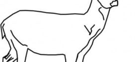 272x125 Deer Head Clipart Black And White Clipart Panda
