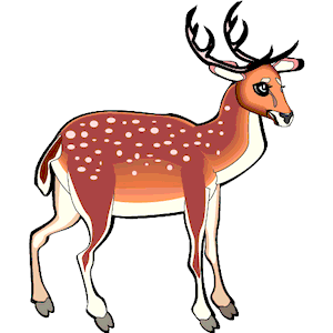300x300 Deer