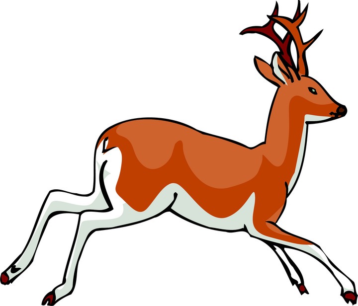 720x616 Jumping Deer Clipart