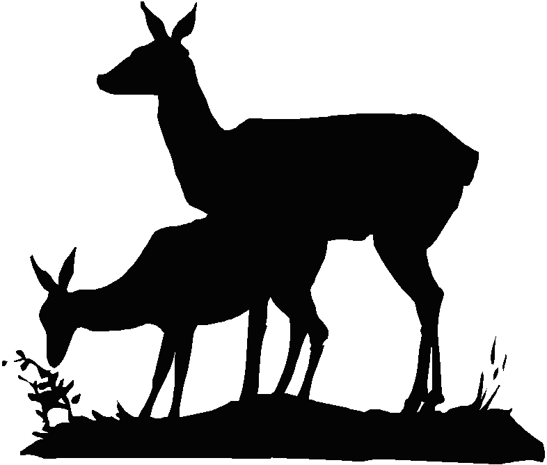 786x668 Deer Silhouettes