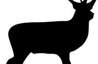 200x130 Valuable Inspiration Deer Silhouette Clip Art Baby Clipart Panda