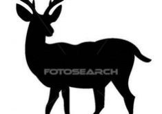 235x165 Valuable Inspiration Deer Silhouette Clip Art Head Silhouettes