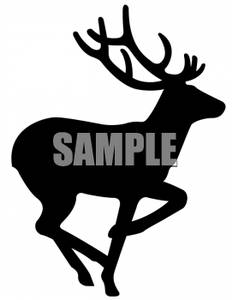 232x300 And White Deer Silhouette