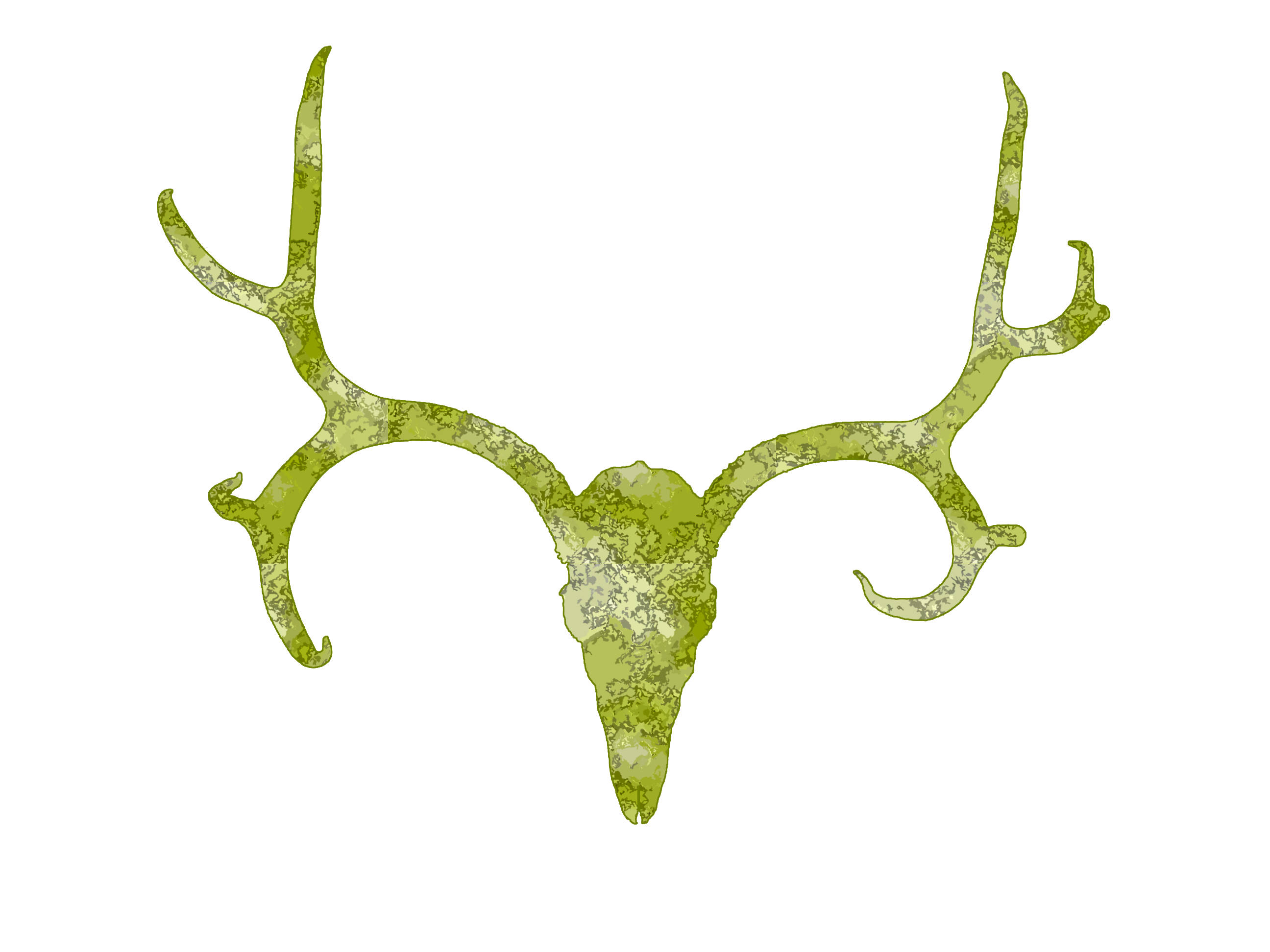 2592x1944 Best Deer Skull Clip Art