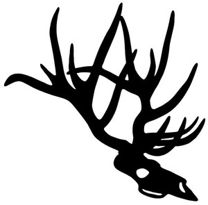 300x295 Big Buck Deer Skull Decal St2010d