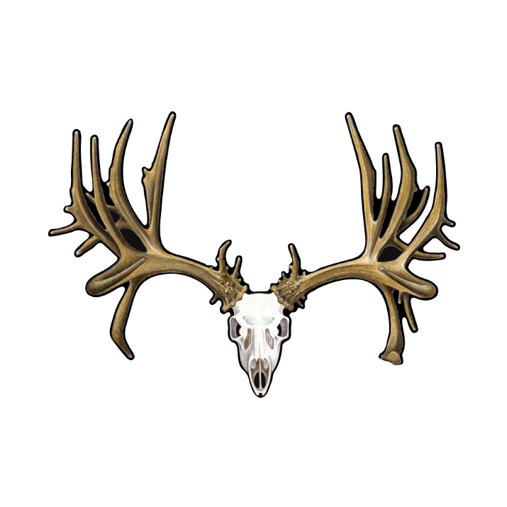 715x715 Color Mule Deer Skull Decal
